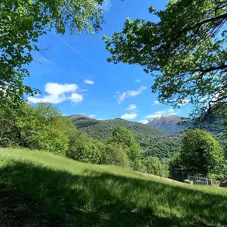 In Nature *